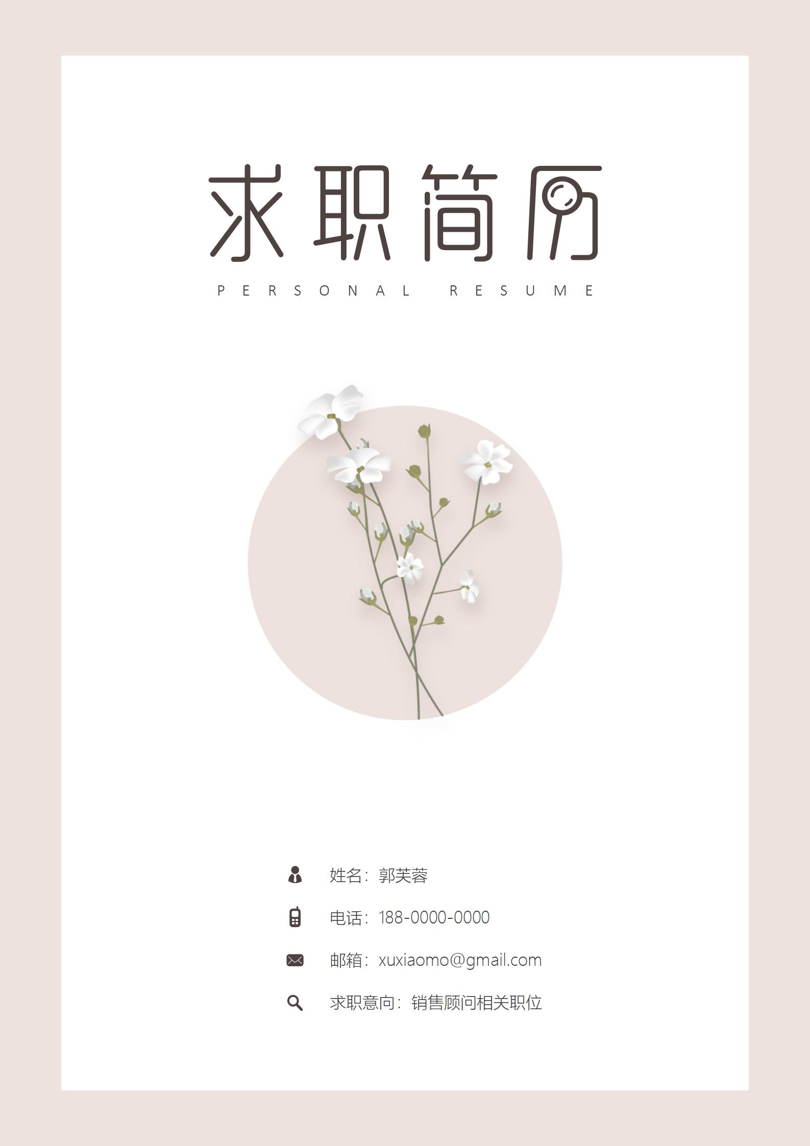 职场映像莫兰迪调色的简历美学